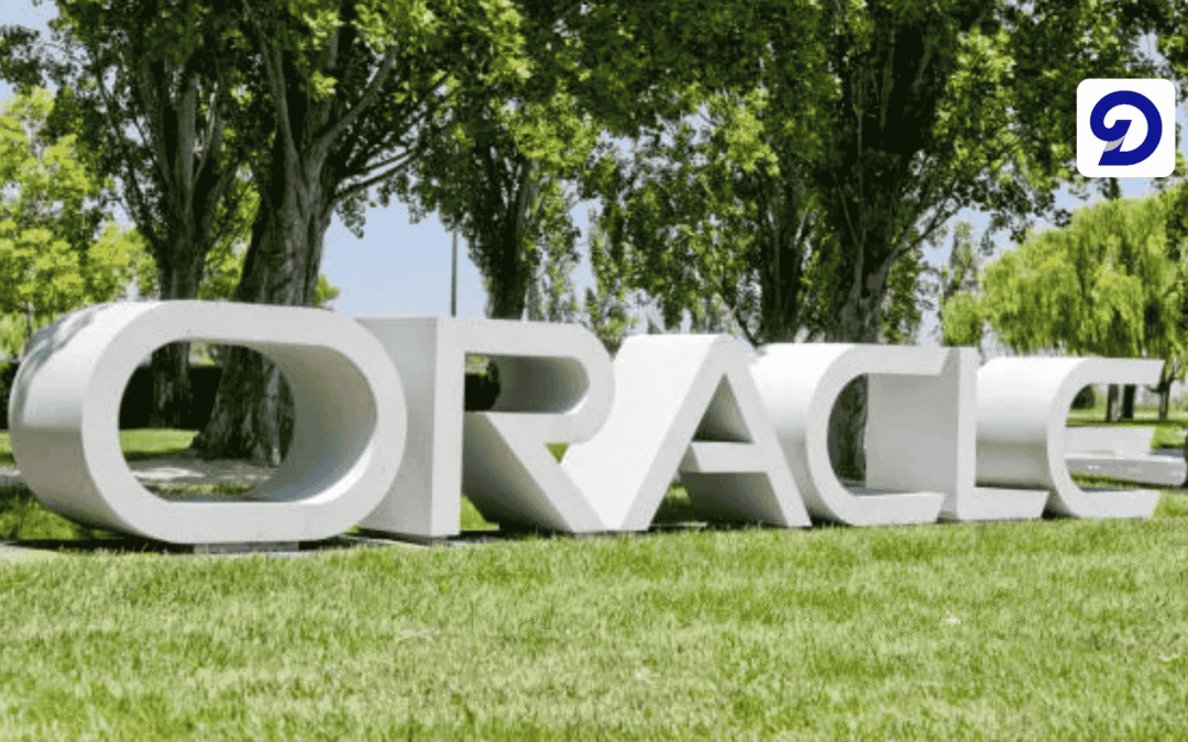 What Does Oracle Really Do?