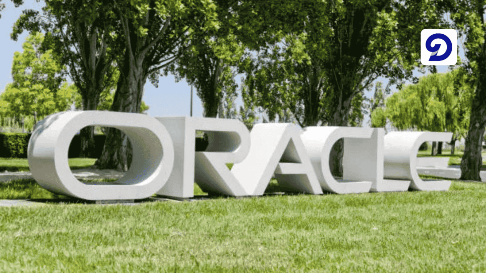 What Does Oracle Really Do? - Doshby Blog