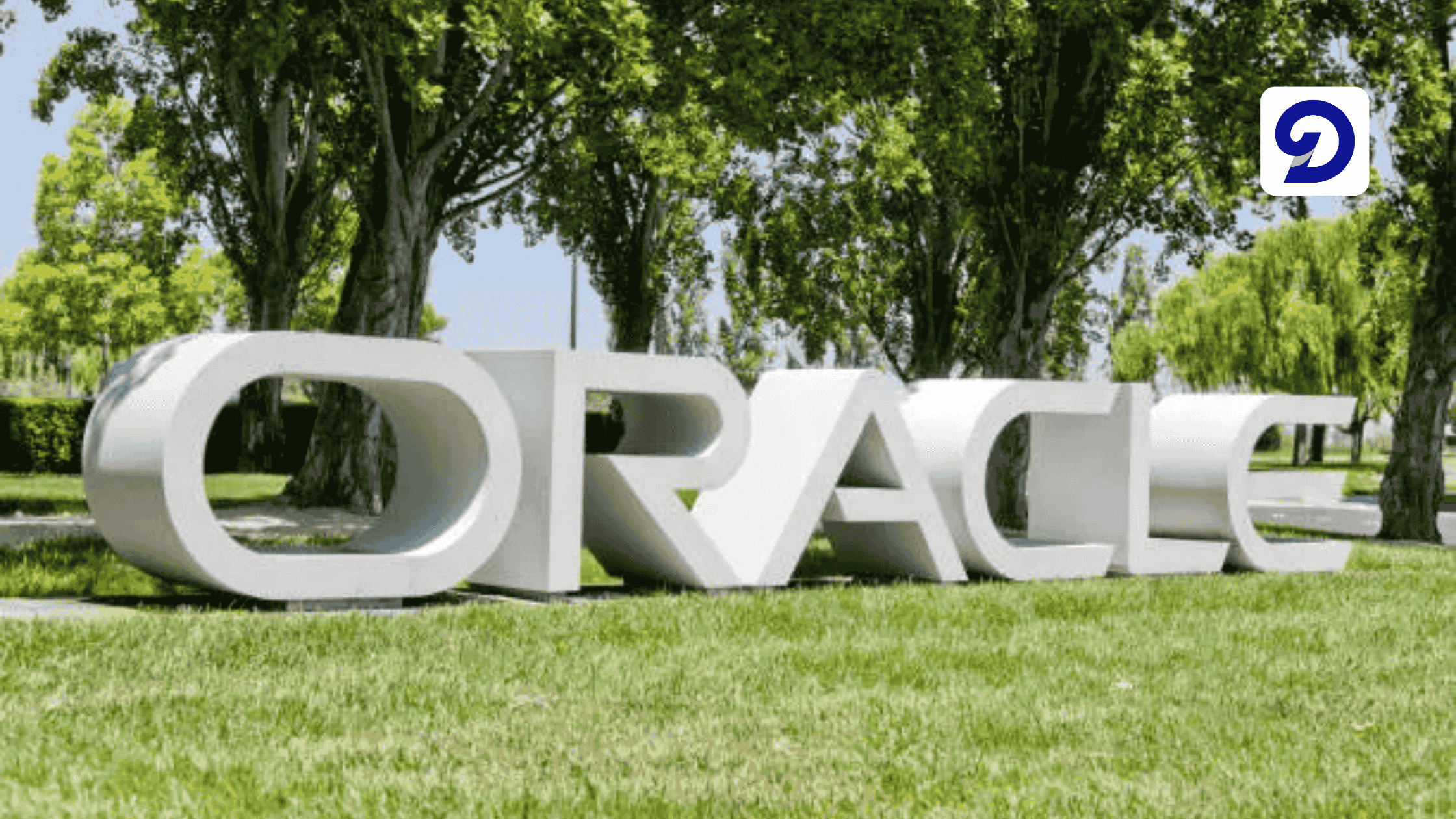Graphic of Oracle Logo on a Grass Field