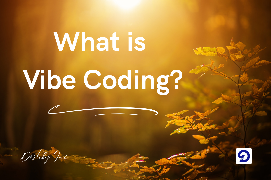 An image asking what is vibe coding?